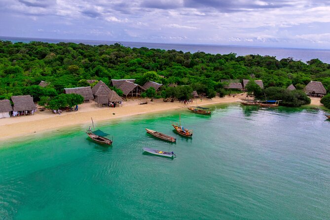 Full Day Safari Blue Zanzibar - Should you book Safari Blue Zanzibar?
