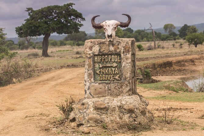 Full-Day Safari Tour from Mikumi National Park of Zanzibar - Game Drive in Mikumi: What You’re Really Hunting For