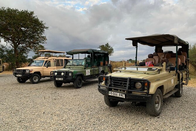 Full-Day Safari Tour from Mikumi National Park of Zanzibar - Lunch on Safari: Simple, Included, and Timed for the Day