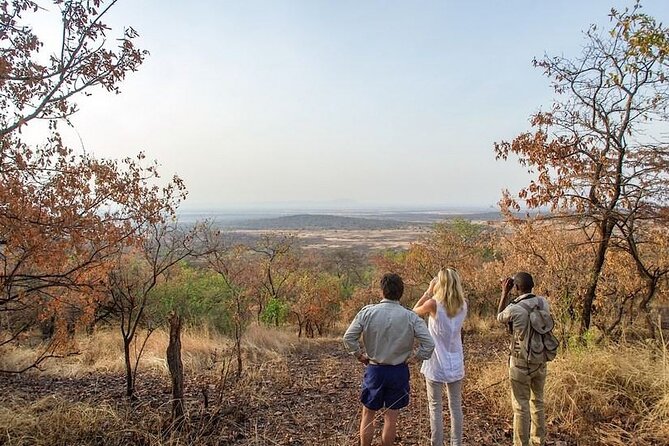 Full-Day Serengeti Tour from Mwanza - Entering Serengeti through the western corridor