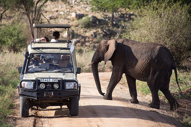 Full-Day Serengeti Tour from Mwanza - Picnic lunch inside Serengeti: staying where the wildlife is