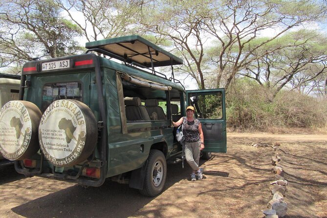 Full-Day Serengeti Tour from Mwanza - Afternoon game drive: why the second half can feel like a new safari