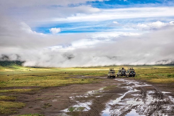 Full Day To Arusha National Park - Giraffes, zebra, buffalo, and why animals feel calmer here