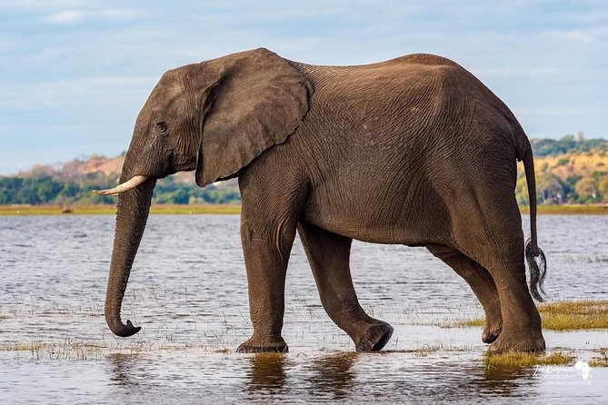 Full Day To Arusha National Park - Price and value: is $250.18 a good deal?