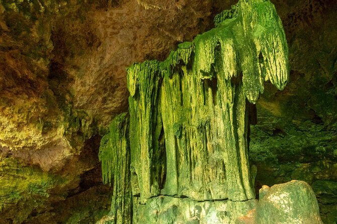 Full-day Tour Mnemba Jozani Forest Kuza Cave Paje Beach The Rock - Mnemba Island Morning: Reef Water First, Before the Day Gets Busy