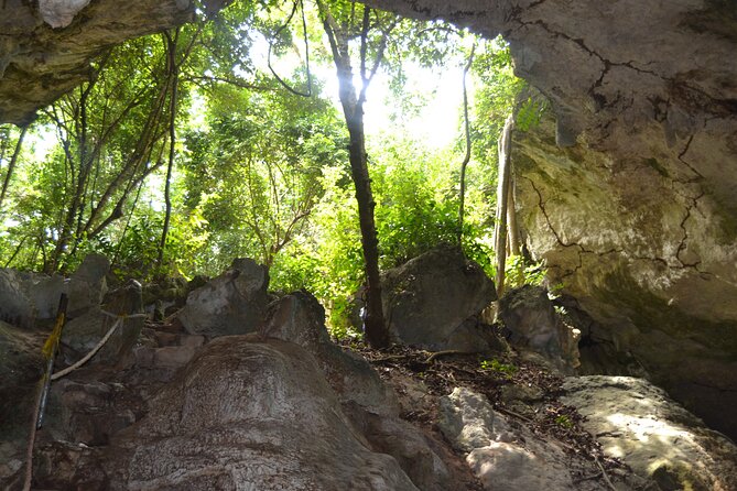 Full-day Tour Mnemba Jozani Forest Kuza Cave Paje Beach The Rock - The Rock Restaurant at the Tide: Plan for the Walk or the Boat