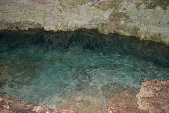 Full-day Tour Mnemba Jozani Forest Kuza Cave Paje Beach The Rock - The Logistics That Actually Matter for an 8-Hour Day