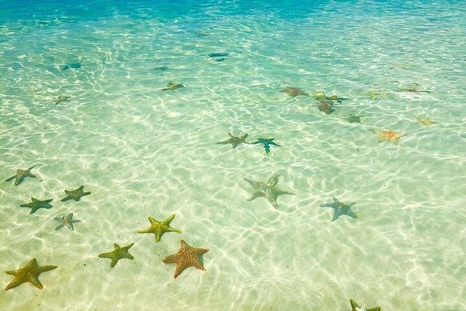 Fullday trip to Pungume and Uzi Island for Snorkeling and more - Comfort, safety, and seasickness: the small stuff that matters most