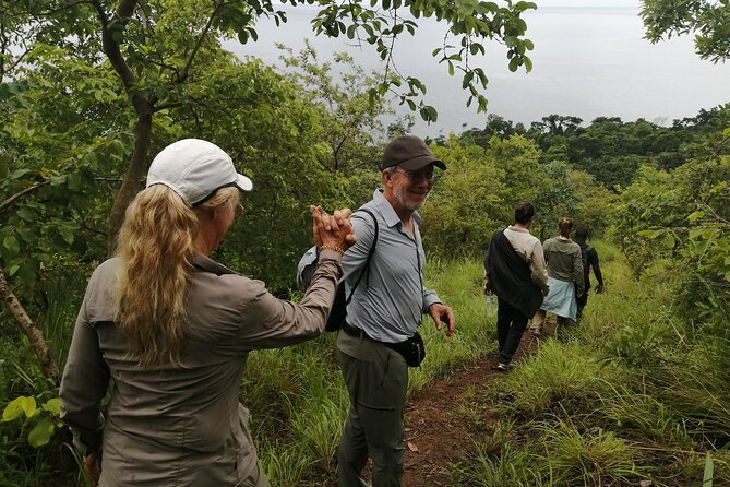 Gombe National Park Chimpanzee Trekking - How the 5 to 8 hour day usually flows
