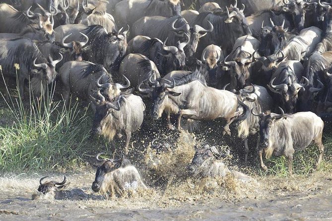Great Migration Safari In Tanzania - First Night in Karatu, Then You’re Into It