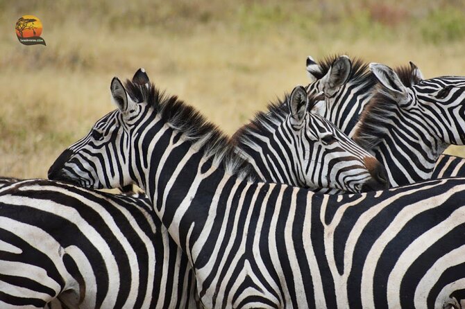 Group Safari 7 Days in Tanzania's Main Parks - Tarangire: photo-friendly animal spotting with a guide driving the hunt