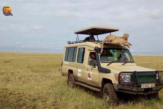 Group Safari 7 Days in Tanzania's Main Parks - The 7-day north-park circuit, without the wasted travel days