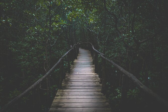 Half-Day Private Jozani Chwaka Bay Forest Tour in Zanzibar - Why Jozani Chwaka Bay works even when you have little time