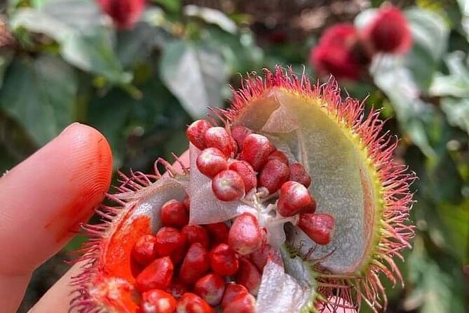 Half-Day Private Spice Tour in Kizimbani Farms, Zanzibar - Key Things I’d Circle Before You Book