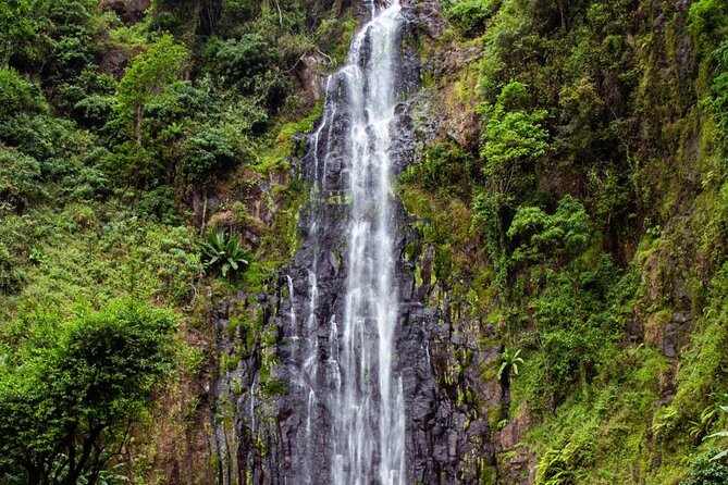 Half-Day Private Tour to Materuni Waterfalls and Coffee excursion - The Coffee Farm Stop: Hands-On, Traditional, and Actually Useful