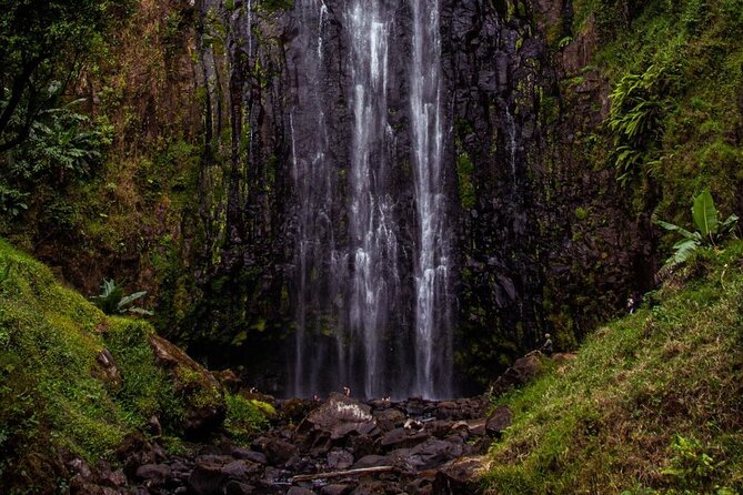 Half-Day Private Tour to Materuni Waterfalls and Coffee excursion - What Makes This Tour Good Value at $68