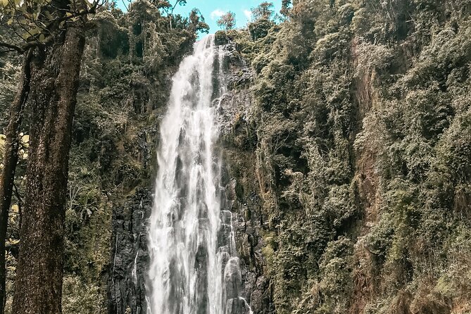 Half-Day Private Tour to Materuni Waterfalls and Coffee excursion - Small Practical Tips So Your Morning Goes Smooth