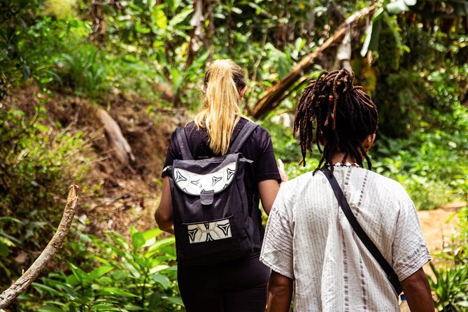 Half-Day Private Tour to Materuni Waterfalls and Coffee excursion - Should You Book Half-Day Private Materuni Waterfalls and Coffee?