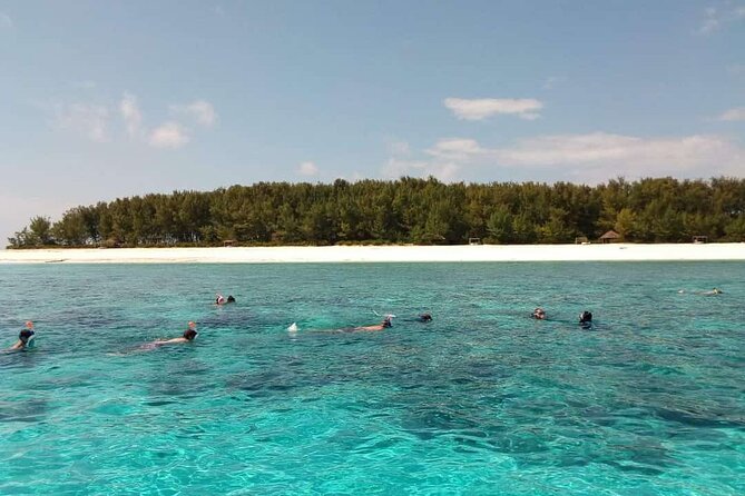 Half Day Zanzibar Mnemba Atoll Marine Reserve Snorkeling Tour - Key points to know before you go