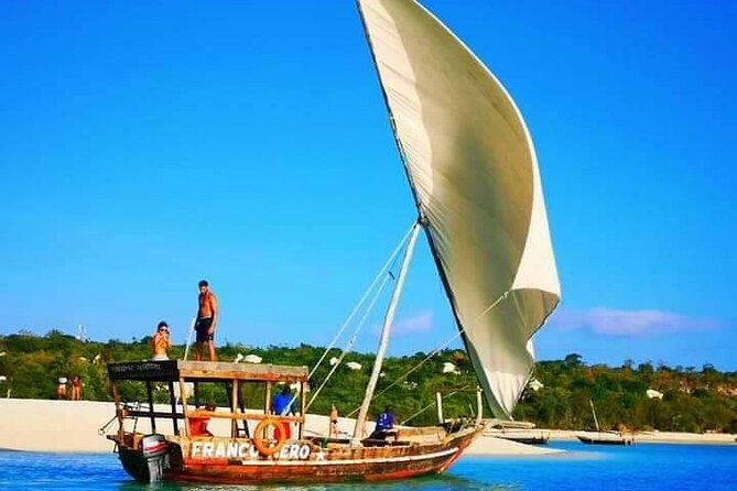 Half Day Zanzibar Mnemba Atoll Marine Reserve Snorkeling Tour - Dolphins, sea turtles, and what wildlife sightings actually feel like