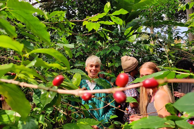 Hidden Arusha Waterfall, Coffee & Village Tour (All-Inclusive) - Key highlights at a glance