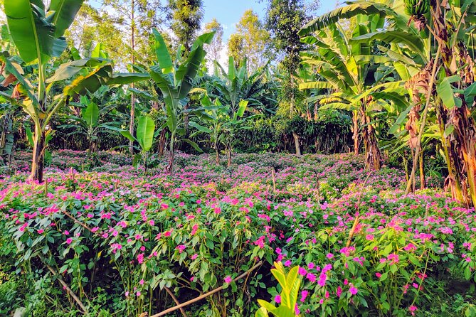 Hidden Arusha Waterfall, Coffee & Village Tour (All-Inclusive) - Who this tour fits best in your Tanzania plan