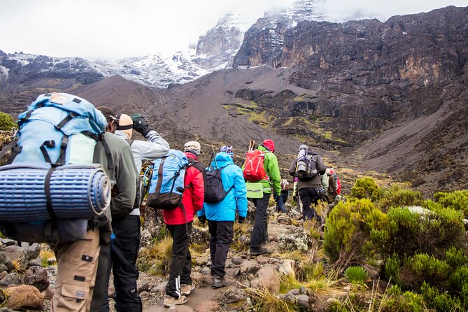 Hiking Mt Kilimanjaro 7 days scenic route & moderate challenge - The Machame Route Choice: Whiskey Scenery, Real Altitude Work