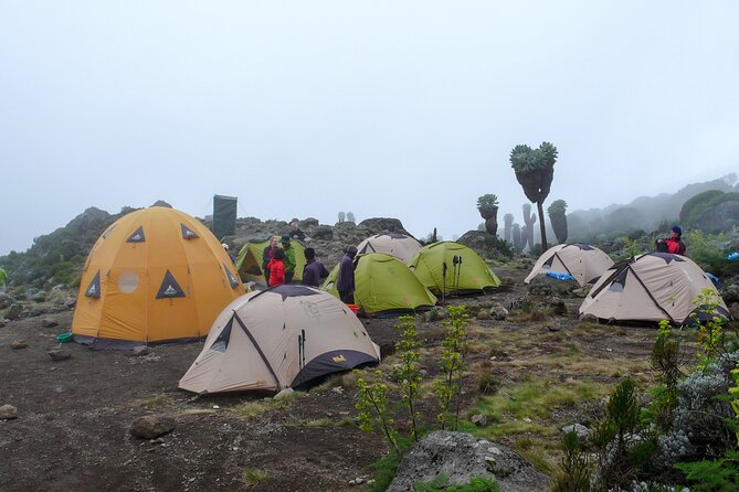 Hiking Mt Kilimanjaro 7 days scenic route & moderate challenge - Day 4: The Great Barranco Wall and Karanga Valley Acclimatization