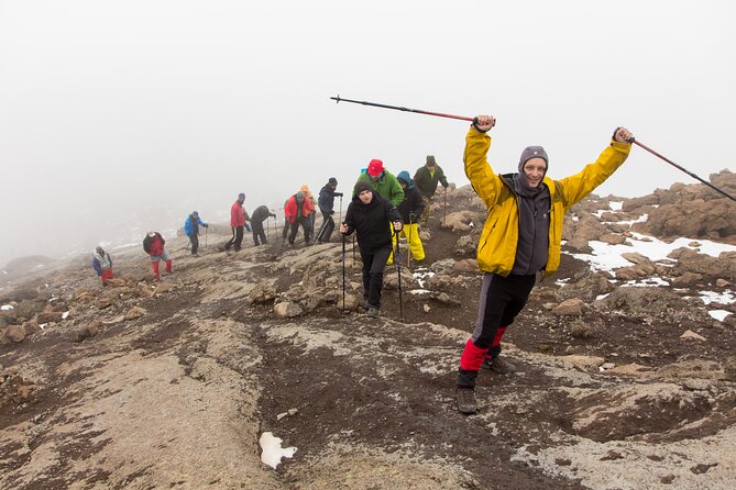 Hiking Mt Kilimanjaro 7 days scenic route & moderate challenge - Day 1 in the Rain Forest: Make Your Steps Count, Not Your Energy