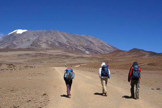 Hiking Mt Kilimanjaro 8 days, the most scenic route up Kili - Getting from Moshi to Londorossi Gate, then into the forest on Day 1
