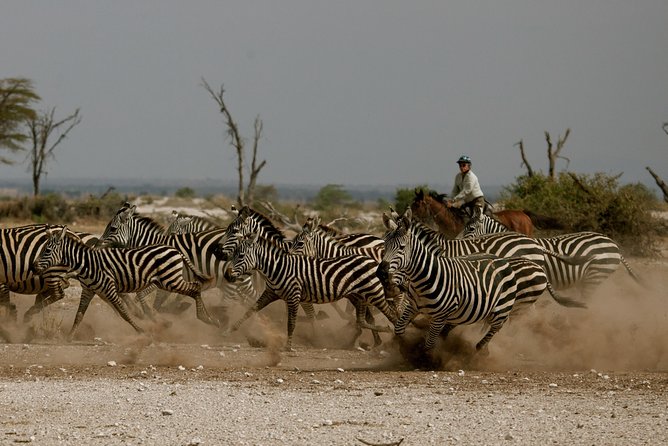 Horse safaris in Tanzania - Key Points at a Glance
