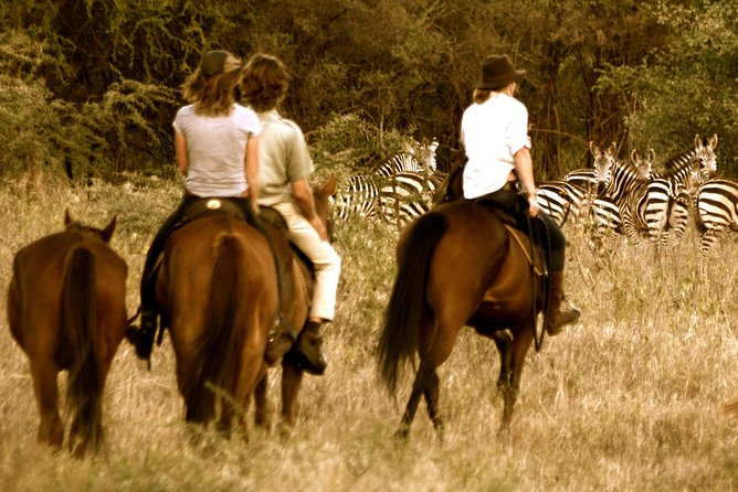 Horse safaris in Tanzania - Horseback Safari Just Outside Arusha: What Makes It Special