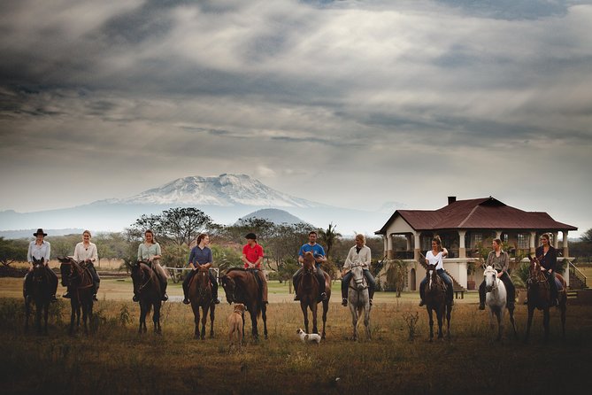 Horse safaris in Tanzania - Wildlife Spotting From Horseback: What You Can Expect