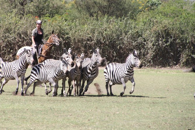Horse safaris in Tanzania - What I’d Pack and What to Ask Before You Ride