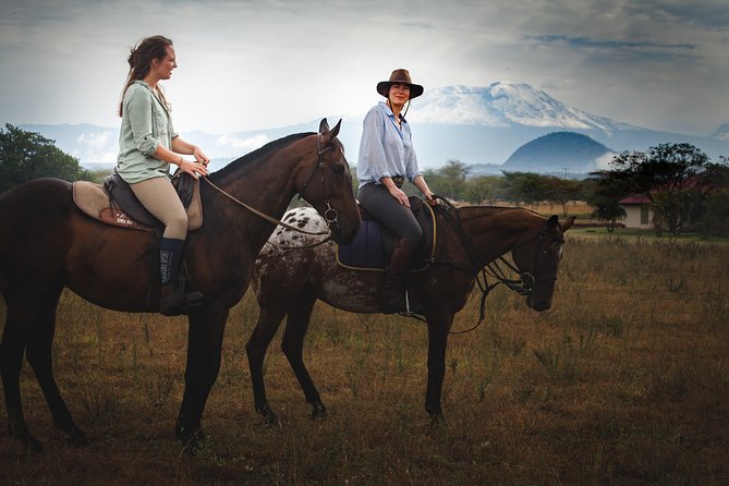 Horse safaris in Tanzania - The Two Ride Modes: Gentle Beginner Hack vs Faster Expedition