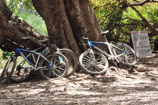 Hot Springs Bike tour - Picnic Lunch at Noon: Simple Food, No Stress