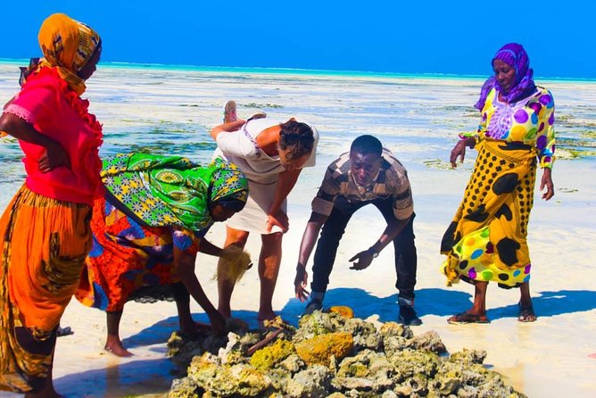 Jambiani Village Women at work and play - Key highlights at a glance