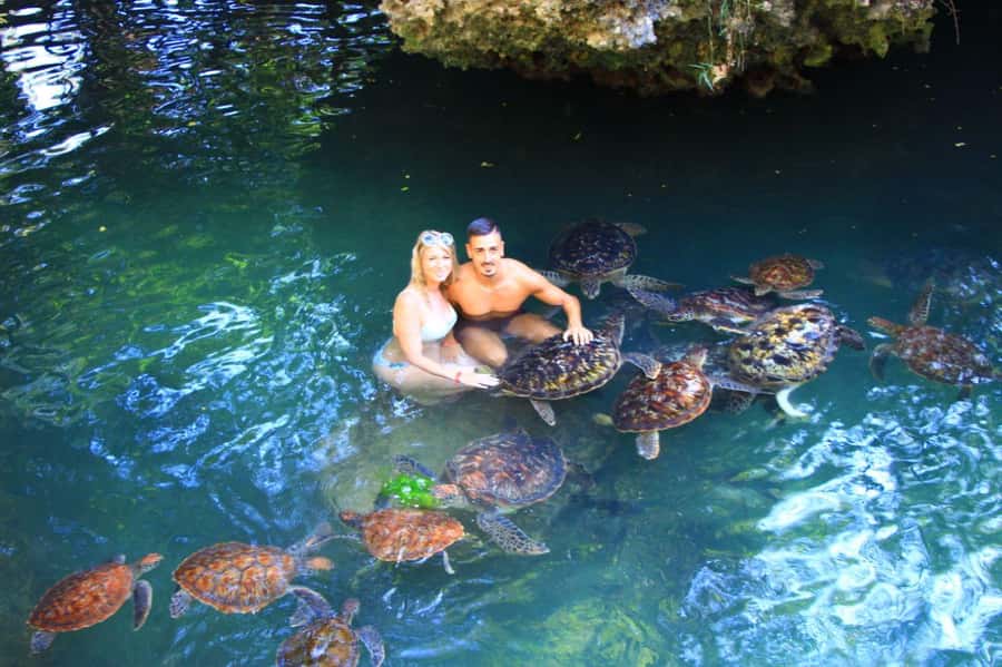 Joazani forest & Spice farm with lunch - Key Highlights You’ll Actually Care About