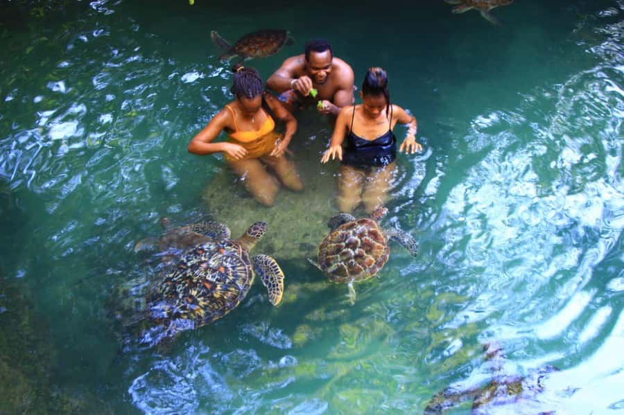 Joazani forest & Spice farm with lunch - Price and Value: Is $99 Fair for This Combo Tour?