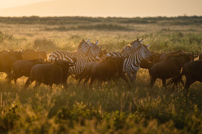Joining Safari from Mwanza - Camping nights, optional lodge upgrade, and how comfort fits into value