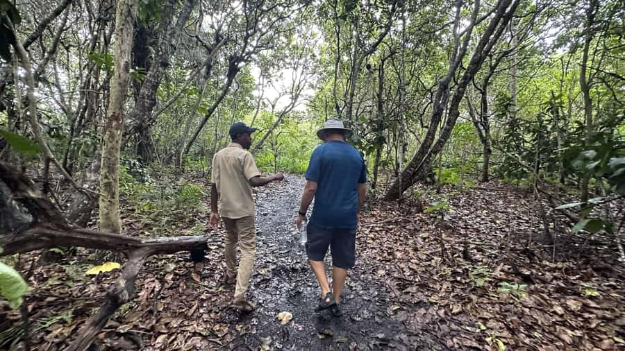 Jozani Forest, kuza cave and mtende beach - Mangrove bridge and the quieter side of Chwaka Bay