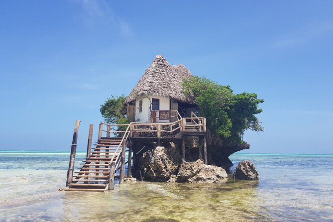 Jozani Forest, Kuza Cave, Paje Beach and The Rock Restaurant - Jozani Chwaka Bay National Park and the Red Colobus Monkey walk