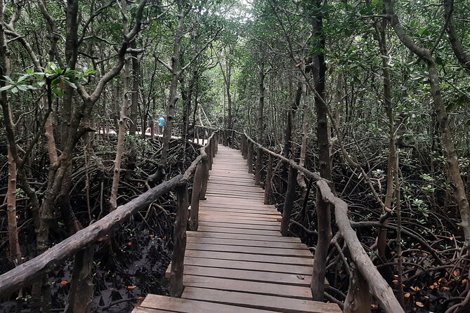 Jozani Forest, Kuza Cave, Paje Beach and The Rock Restaurant - What to pack so you don’t lose time or comfort