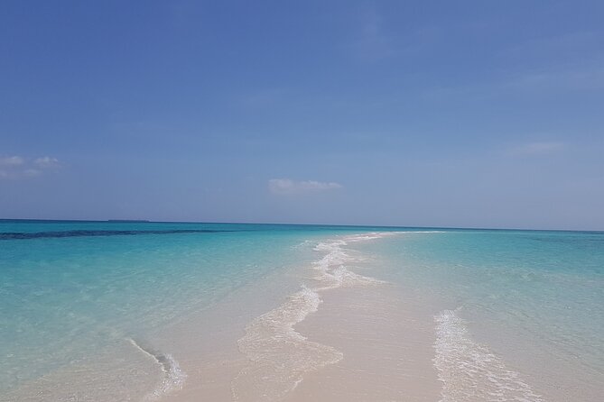 Jozani Forest, Kuza Cave, Paje Beach and The Rock Restaurant - Kuza Cave swim plus a culture center hour