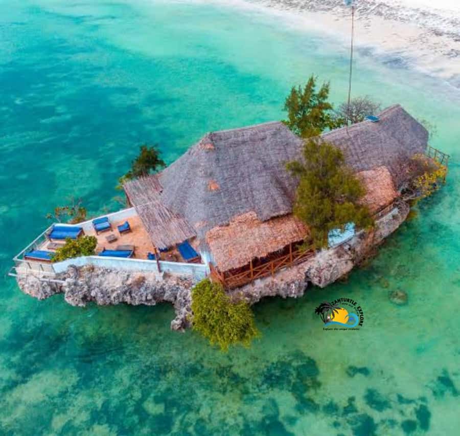 Jozani Forest, Kuza Cave, Salaam Caves & The Rock Restaurant - A one-day Zanzibar hit, Jozani, caves, and lunch on the sea