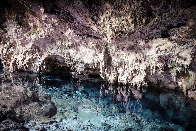 Jozani Forest Kuza Cave The Rock Restaurant and Paje Beach - Price and logistics: does $135 feel fair for this day?
