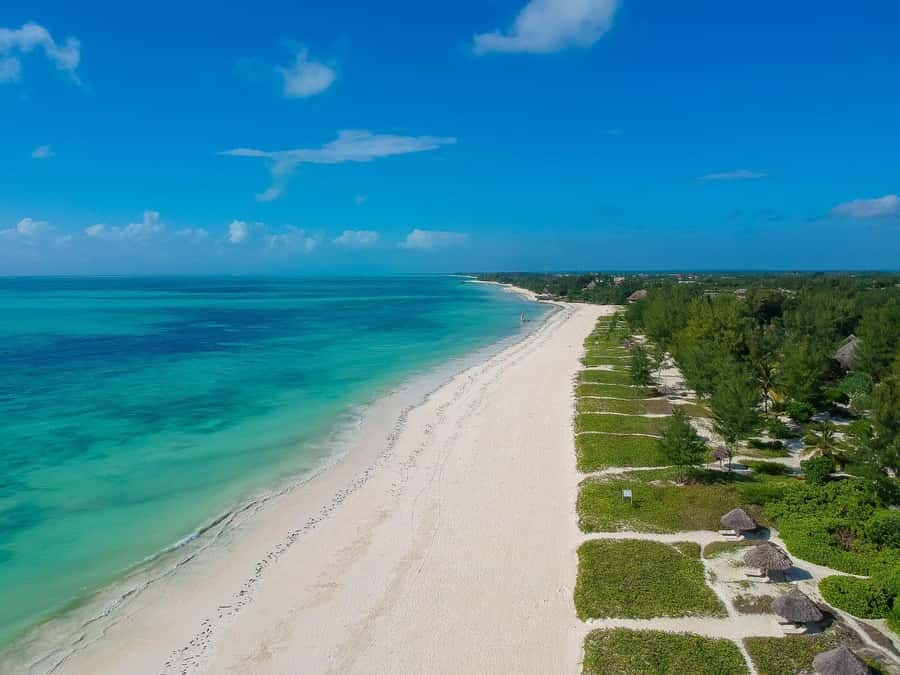 Jozani Forest & Paje Beach Trip with The Rock Restaurant - Guides and drivers: the difference between a trip and an experience