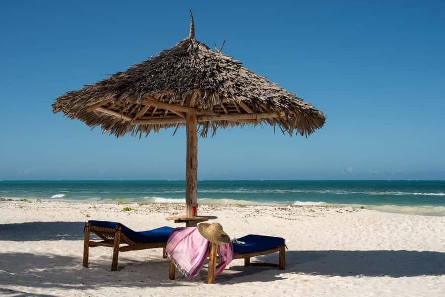 Jozani Forest & Paje Beach Trip with The Rock Restaurant - Price and what you actually get for $90 per person