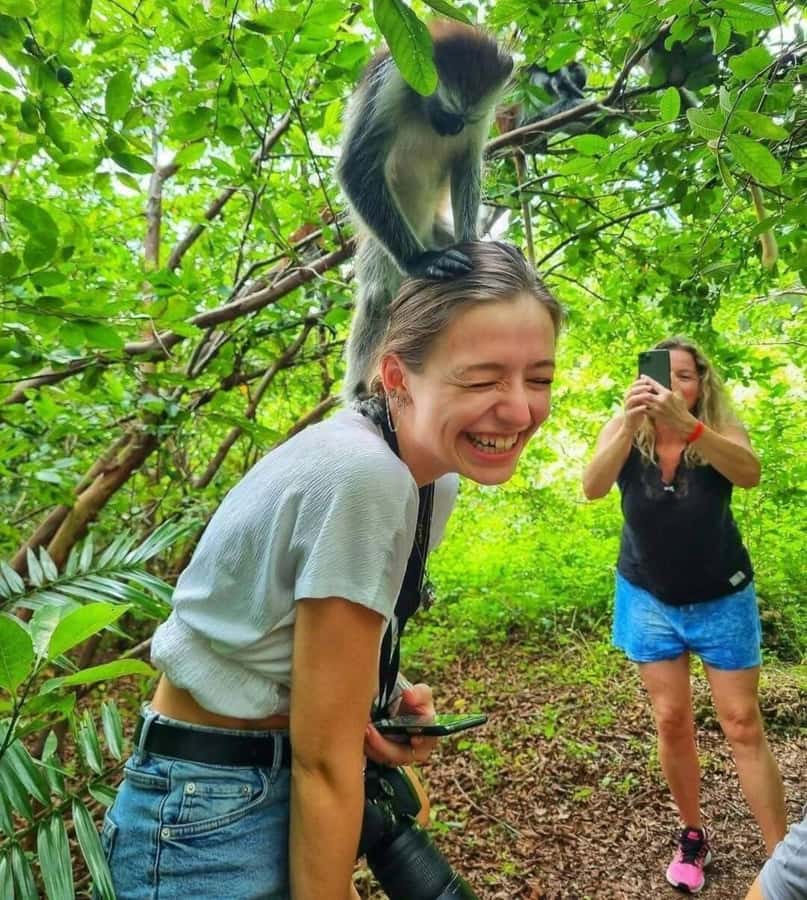Jozani Forest, Sea Turtles, Blue Lagoon, Starfish & The Rock - Quick highlights
