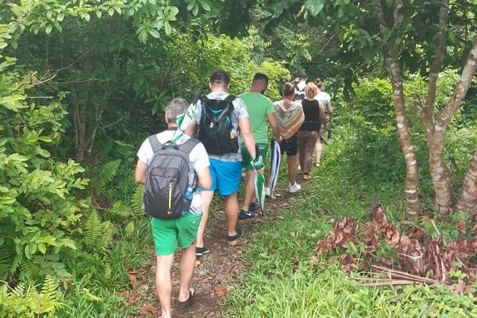 Jozani Forest Tour - Jozani Chwaka Bay National Park, and how the walk starts